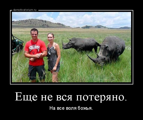 Ещё не всё потеряно