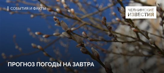 Погода на завтра на все Воля Божья