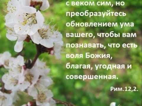 Воля Божья Благая угодная и совершенная