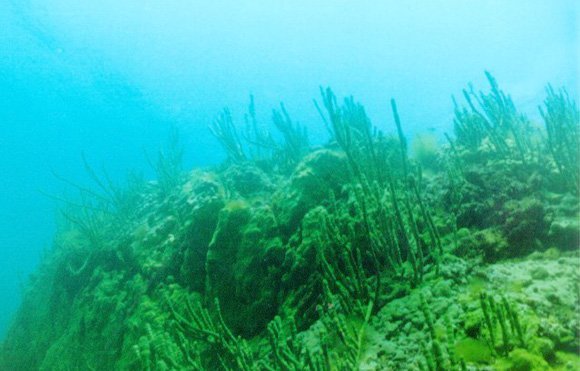 Наибольшая глубина Байкала