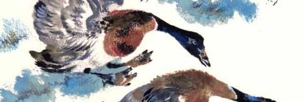 Птичье озеро Чарушин