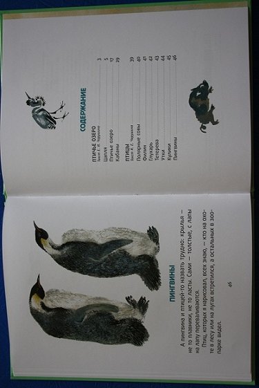 Птичье озеро Чарушин