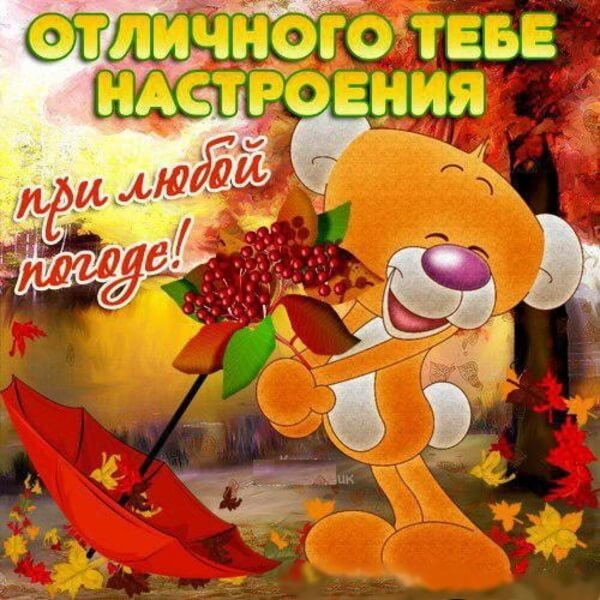 Открытки хорошего дня и отличного настроения прикольные