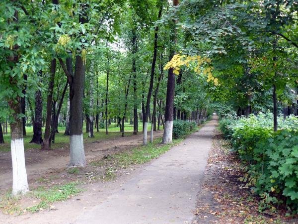 Пушкино парк культуры