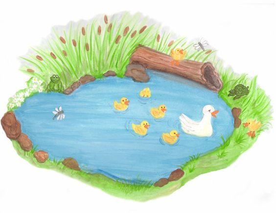 Водоем рисунок