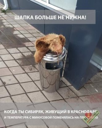 Коротко о погоде в Краснодаре прикол