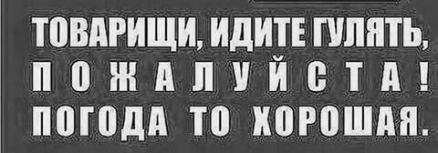 Товарищи идите гулять