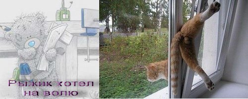Погода шепчет займи и выпей карикатуры