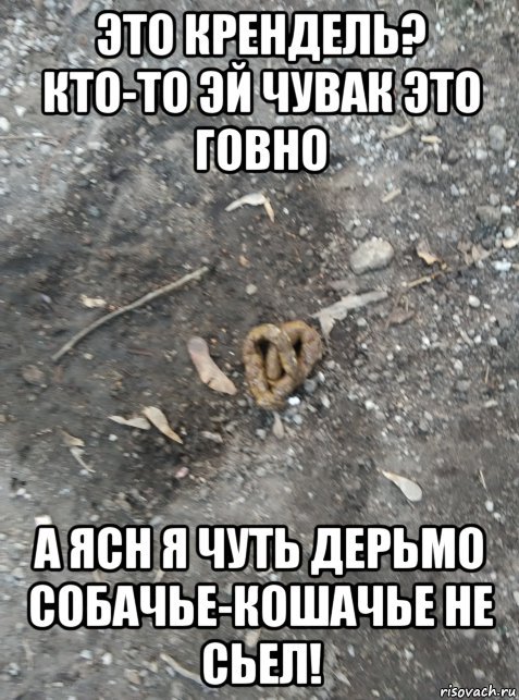 Грызть какашки собака мем Картинки погода говно (60 фото)