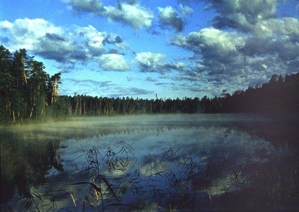 Колдовское озеро в лесу