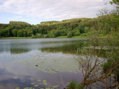 Озеро Аль в Чувашии