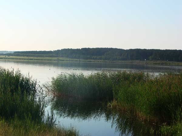 Озеро Тагарское Минусинский район