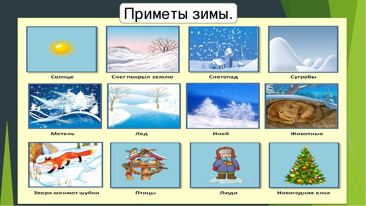 Приметы зимы для дошкольников. Признаки зимы для дошкольников. Изображения времен года для детей. Зима явления природы для дошкольников.