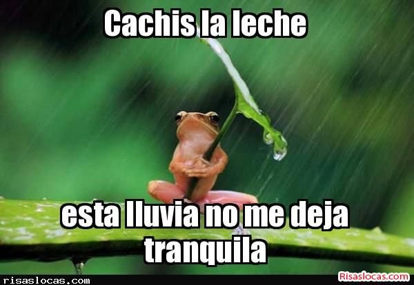 Дюймовочка смешная