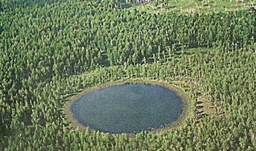 Озеро Данилово Муромцевский