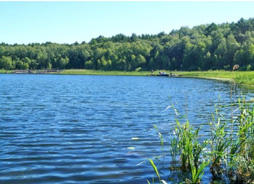 Озеро Данилово Муромцевский