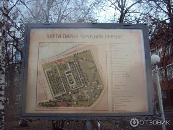 Картинки на деревьях в парке красная пресня (65 фото)