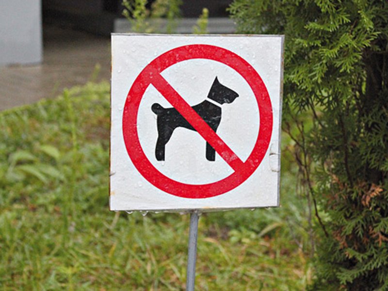 Запрещающие вывески. Выгул собак запрещен. Табличка выгул запрещен. Запрещающие знаки в парках. Запрещено выгуливать собак.