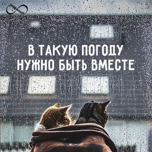 В такую погоду