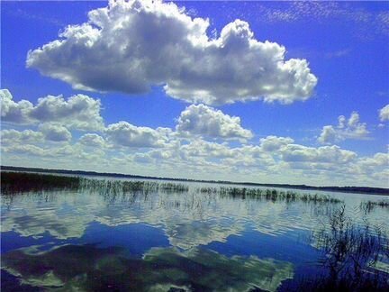 Гороховое озеро Псковская область