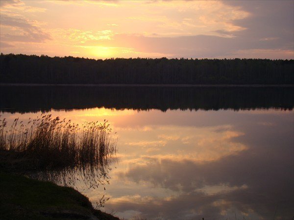 Муромцево озеро Линево