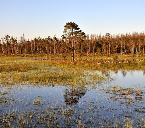 Озеро Вялье