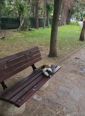 Картинки парк прикольные (65 фото)