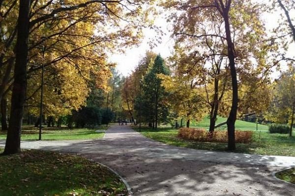 Парк Дубки Тимирязевский парк