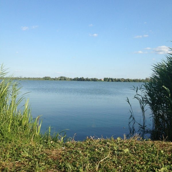 Озеро Петровское Алтайский край