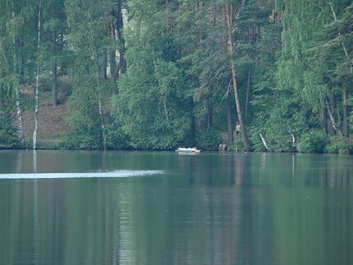 Озеро Петровское Приозерский район