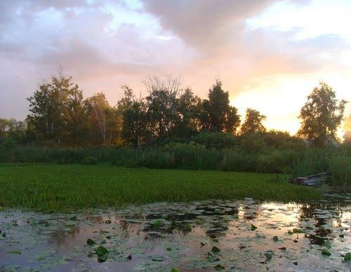 Петровское Воскресенский район озеро