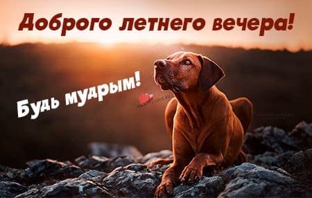 Картинки добрый вечер в любую погоду с надписями красивые (54 фото)