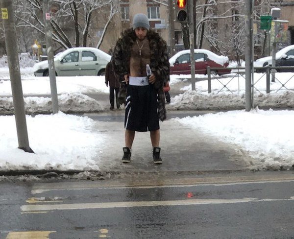 Шуба с шортами