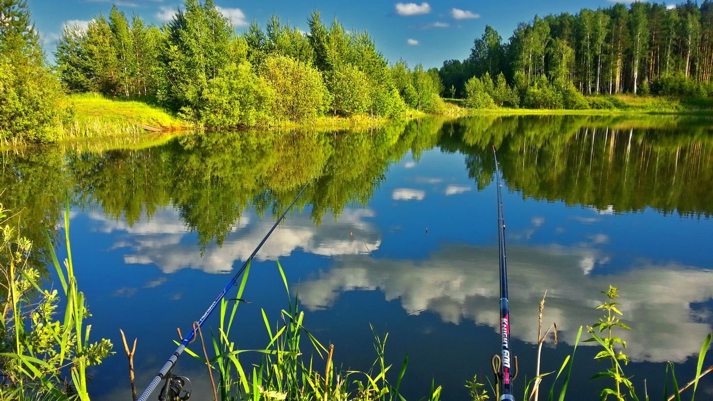 Вафельная картинка Рыбалка | Хобби | manikyrsha.ru