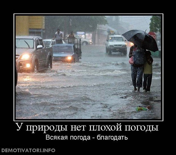 У природы нет хлохой породы