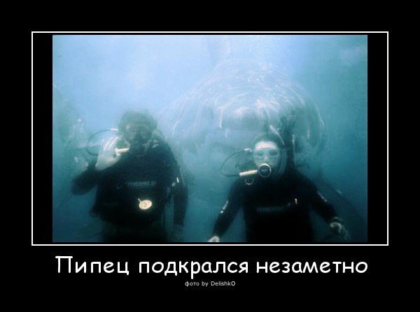 Пипец картинки смешные