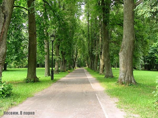 Несвижский парк весной