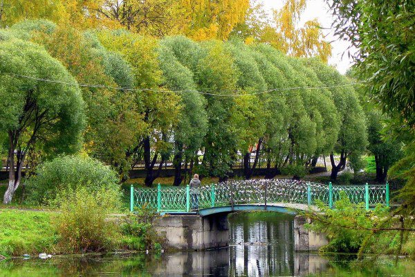 Кремлевский сад Вологда