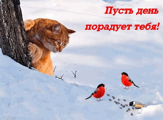 Хорошего зимнего дня в любую погоду