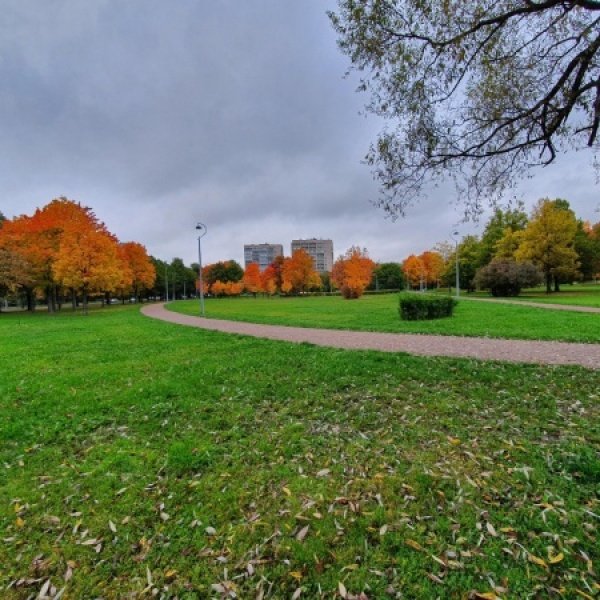 Парк Пионерия СПБ