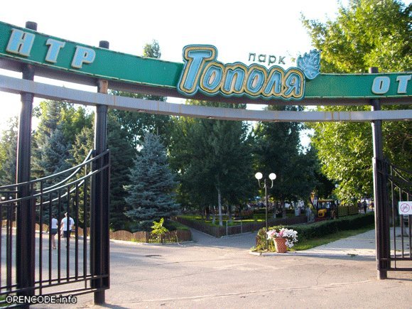 Парк тополя Оренбург