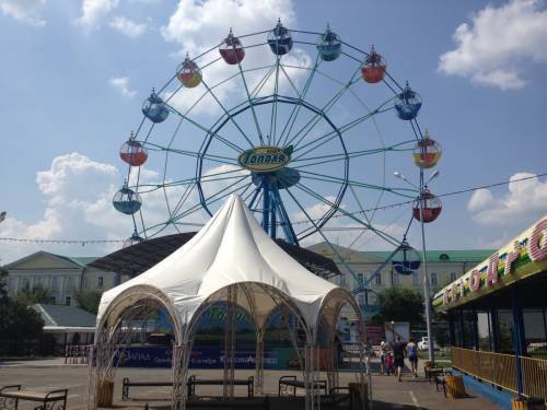 Оренбургский парк тополя