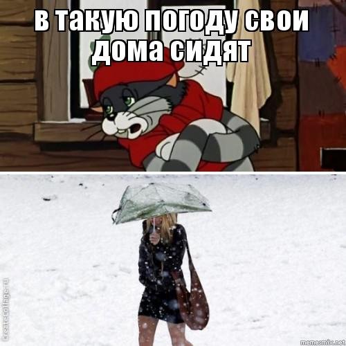 В такую погоду свои дома сидят