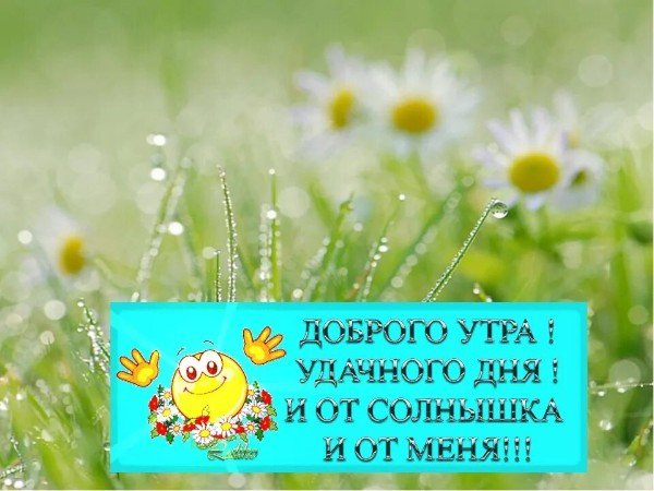 Доброе утро от солнышка и от меня