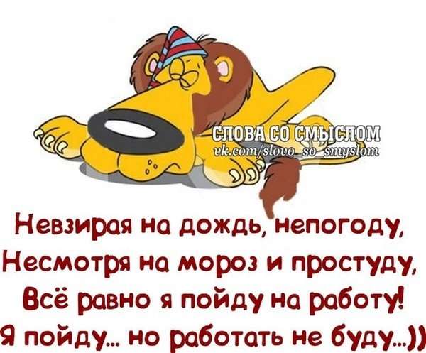 Несмотря на плохую погоду хорошего настроения