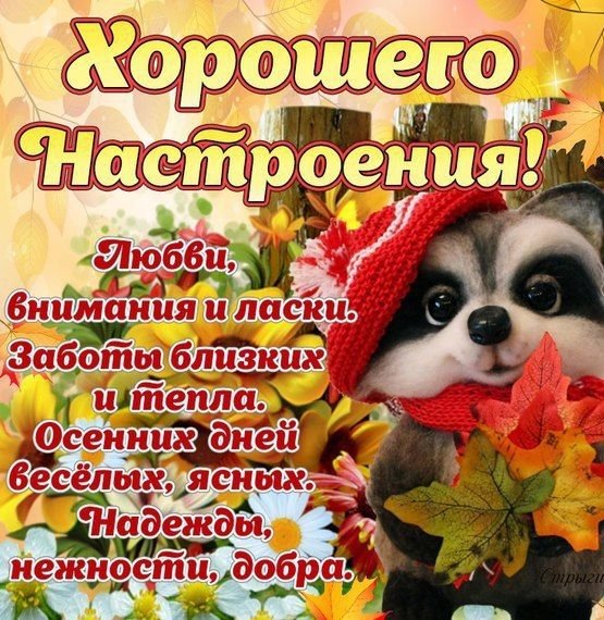 Хорошего дня и настроения осень
