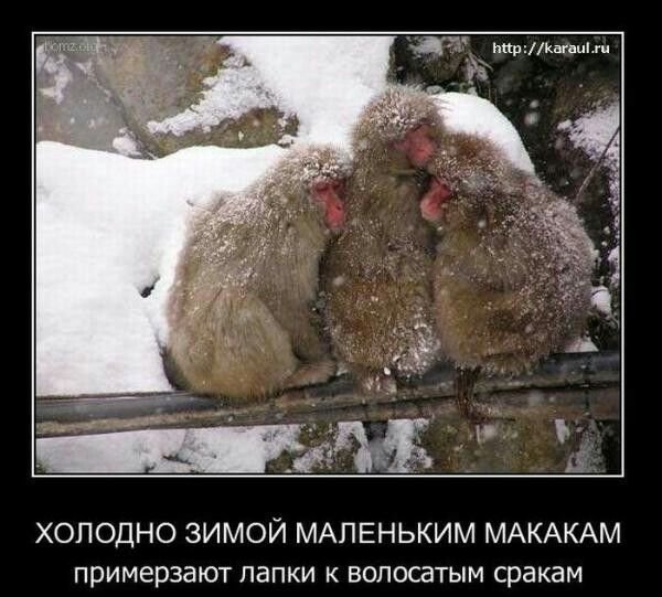 Приколы про Мороз