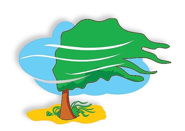 Картинки ветряная погода для детей (58 фото)