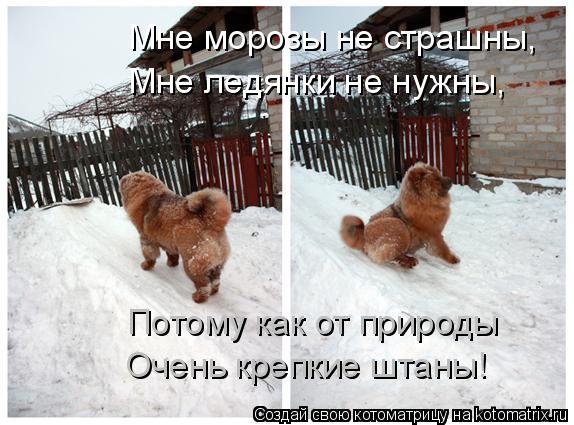 Нам не страшен холод