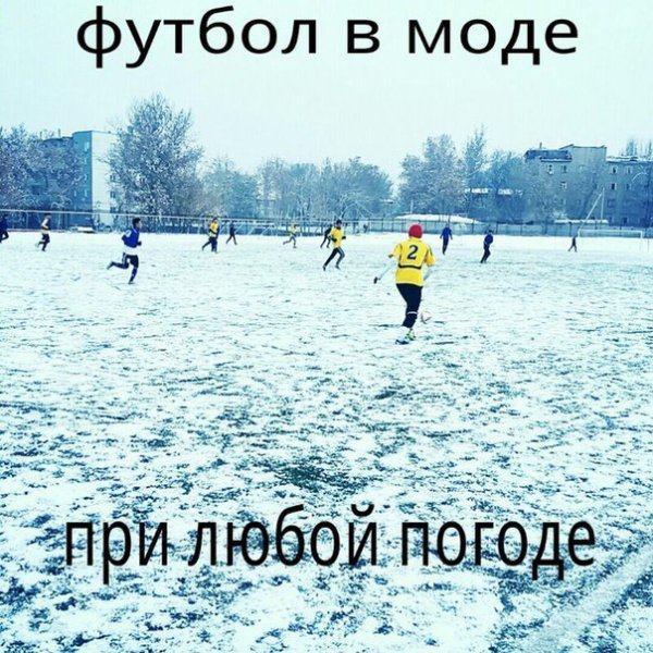 Состоится в любую погоду